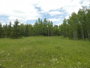 Photo for tbd Cedar Drive SE, Baudette, MN 56623 - Listing #5618955 tbd Cedar Drive SE, Baudette, MN 56623