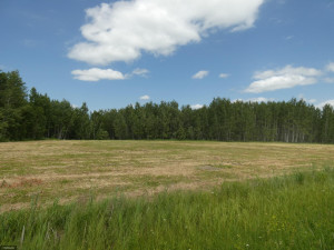 Photo for TBD Tamarack Drive SE, Baudette, MN 56623 - Listing #5619174 TBD Tamarack Drive SE, Baudette, MN 56623