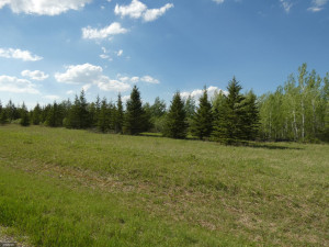 Photo for tbd Cedar Drive SE, Baudette, MN 56623 - Listing #5618955 tbd Cedar Drive SE, Baudette, MN 56623