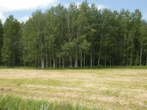 Photo for TBD Tamarack Drive SE, Baudette, MN 56623 - Listing #5619174 TBD Tamarack Drive SE, Baudette, MN 56623