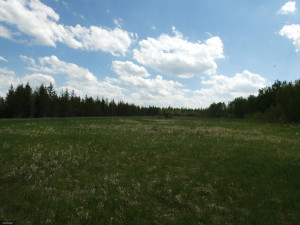Photo for tbd Tamarack Drive SE, Baudette, MN 56623 - Listing #5619014 tbd Tamarack Drive SE, Baudette, MN 56623