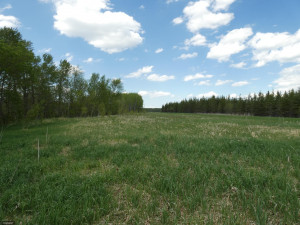 Photo for tbd Tamarack Drive SE, Baudette, MN 56623 - Listing #5619014 tbd Tamarack Drive SE, Baudette, MN 56623