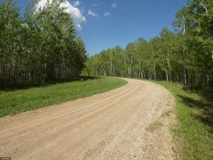 Photo for tbd Cedar Drive SE, Baudette, MN 56623 - Listing #5618955 tbd Cedar Drive SE, Baudette, MN 56623