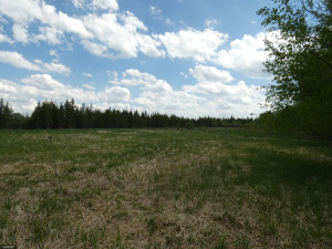 Photo for tbd Tamarack Drive SE, Baudette, MN 56623 - Listing #5619014 tbd Tamarack Drive SE, Baudette, MN 56623