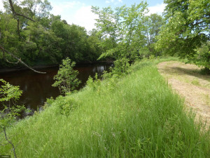 Photo for TBD Tamarack Drive SE, Baudette, MN 56623 - Listing #5619174 TBD Tamarack Drive SE, Baudette, MN 56623