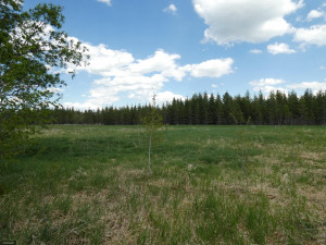 Photo for tbd Tamarack Drive SE, Baudette, MN 56623 - Listing #5619014 tbd Tamarack Drive SE, Baudette, MN 56623