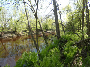 Photo for tbd Cedar Drive SE, Baudette, MN 56623 - Listing #5618955 tbd Cedar Drive SE, Baudette, MN 56623