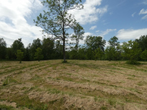 Photo for TBD Tamarack Drive SE, Baudette, MN 56623 - Listing #5619174 TBD Tamarack Drive SE, Baudette, MN 56623