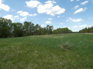 Photo for tbd Tamarack Drive SE, Baudette, MN 56623 - Listing #5619014 tbd Tamarack Drive SE, Baudette, MN 56623