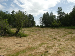 Photo for TBD Tamarack Drive SE, Baudette, MN 56623 - Listing #5619174 TBD Tamarack Drive SE, Baudette, MN 56623