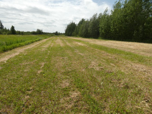 Photo for TBD Tamarack Drive SE, Baudette, MN 56623 - Listing #5619174 TBD Tamarack Drive SE, Baudette, MN 56623