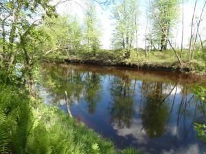 Photo for tbd Cedar Drive SE, Baudette, MN 56623 - Listing #5618955 tbd Cedar Drive SE, Baudette, MN 56623