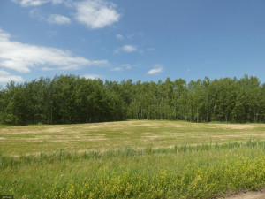 Photo for TBD Tamarack Drive SE, Baudette, MN 56623 - Listing #5619174 TBD Tamarack Drive SE, Baudette, MN 56623