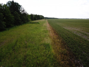 Photo for 72 Highway, Baudette, MN 56623 - Listing #5618800 72 Highway, Baudette, MN 56623