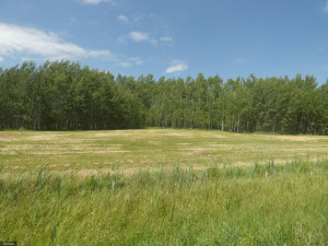 Photo for TBD Tamarack Drive SE, Baudette, MN 56623 - Listing #5619174 TBD Tamarack Drive SE, Baudette, MN 56623