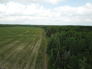 Photo for 72 Highway, Baudette, MN 56623 - Listing #5618800 72 Highway, Baudette, MN 56623