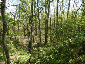Photo for tbd Cedar Drive SE, Baudette, MN 56623 - Listing #5618955 tbd Cedar Drive SE, Baudette, MN 56623