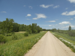 Photo for TBD Tamarack Drive SE, Baudette, MN 56623 - Listing #5619174 TBD Tamarack Drive SE, Baudette, MN 56623