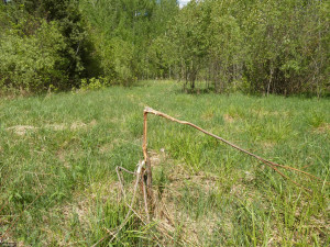 Photo for TBD Tamarack Drive SE, Baudette, MN 56623 - Listing #5619174 TBD Tamarack Drive SE, Baudette, MN 56623