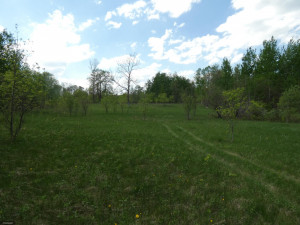 Photo for TBD Tamarack Drive SE, Baudette, MN 56623 - Listing #5619174 TBD Tamarack Drive SE, Baudette, MN 56623