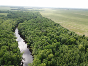 Photo for 72 Highway, Baudette, MN 56623 - Listing #5618800 72 Highway, Baudette, MN 56623