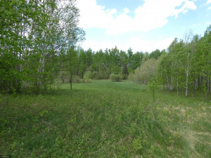 Photo for TBD Tamarack Drive SE, Baudette, MN 56623 - Listing #5619174 TBD Tamarack Drive SE, Baudette, MN 56623