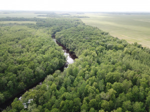 Photo for 72 Highway, Baudette, MN 56623 - Listing #5618800 72 Highway, Baudette, MN 56623