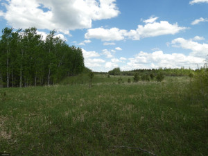 Photo for TBD Tamarack Drive SE, Baudette, MN 56623 - Listing #5619174 TBD Tamarack Drive SE, Baudette, MN 56623