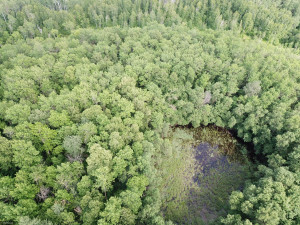 Photo for 72 Highway, Baudette, MN 56623 - Listing #5618800 72 Highway, Baudette, MN 56623