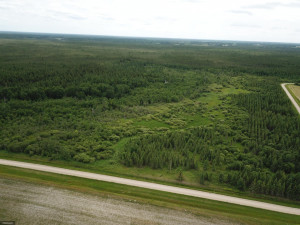 Photo for tbd Tamarack Drive SE, Baudette, MN 56623 - Listing #5619014 tbd Tamarack Drive SE, Baudette, MN 56623