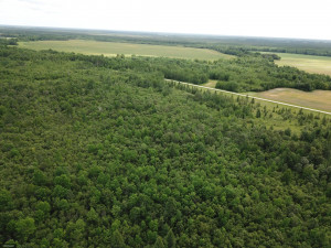Photo for tbd Cedar Drive SE, Baudette, MN 56623 - Listing #5618955 tbd Cedar Drive SE, Baudette, MN 56623