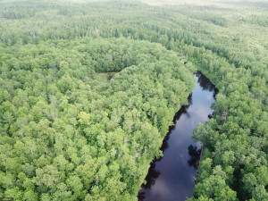 Photo for 72 Highway, Baudette, MN 56623 - Listing #5618800 72 Highway, Baudette, MN 56623