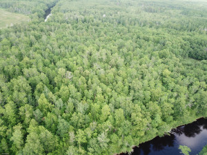 Photo for 72 Highway, Baudette, MN 56623 - Listing #5618800 72 Highway, Baudette, MN 56623