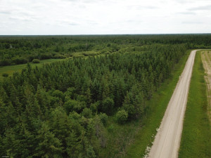 Photo for tbd Tamarack Drive SE, Baudette, MN 56623 - Listing #5619014 tbd Tamarack Drive SE, Baudette, MN 56623