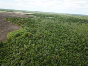 Photo for tbd Cedar Drive SE, Baudette, MN 56623 - Listing #5618955 tbd Cedar Drive SE, Baudette, MN 56623