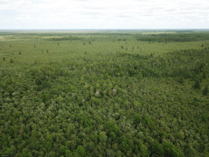 Photo for tbd Cedar Drive SE, Baudette, MN 56623 - Listing #5618955 tbd Cedar Drive SE, Baudette, MN 56623