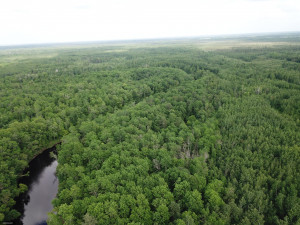 Photo for 72 Highway, Baudette, MN 56623 - Listing #5618800 72 Highway, Baudette, MN 56623