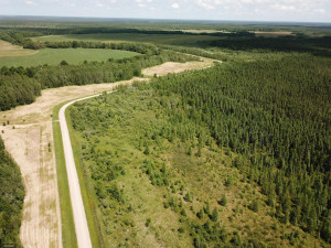Photo for TBD Tamarack Drive SE, Baudette, MN 56623 - Listing #5619174 TBD Tamarack Drive SE, Baudette, MN 56623