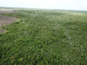 Photo for tbd Cedar Drive SE, Baudette, MN 56623 - Listing #5618955 tbd Cedar Drive SE, Baudette, MN 56623