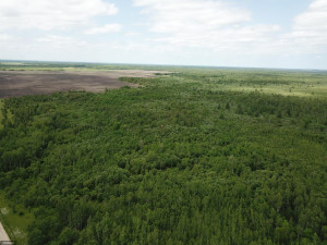 Photo for tbd Cedar Drive SE, Baudette, MN 56623 - Listing #5618955 tbd Cedar Drive SE, Baudette, MN 56623