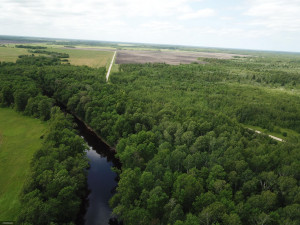 Photo for tbd Cedar Drive SE, Baudette, MN 56623 - Listing #5618955 tbd Cedar Drive SE, Baudette, MN 56623