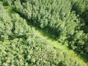 Photo for 72 Highway, Baudette, MN 56623 - Listing #5618800 72 Highway, Baudette, MN 56623