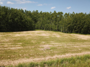 Photo for tbd Tamarack Drive SE, Baudette, MN 56623 - Listing #5619014 tbd Tamarack Drive SE, Baudette, MN 56623