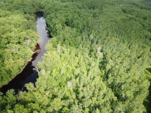 Photo for 72 Highway, Baudette, MN 56623 - Listing #5618800 72 Highway, Baudette, MN 56623