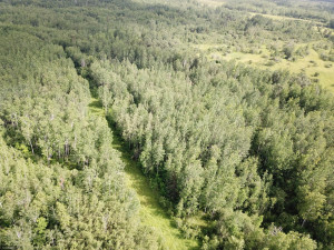 Photo for 72 Highway, Baudette, MN 56623 - Listing #5618800 72 Highway, Baudette, MN 56623