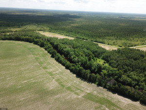 Photo for TBD Tamarack Drive SE, Baudette, MN 56623 - Listing #5619174 TBD Tamarack Drive SE, Baudette, MN 56623
