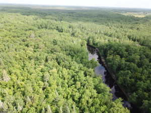 Photo for 72 Highway, Baudette, MN 56623 - Listing #5618800 72 Highway, Baudette, MN 56623