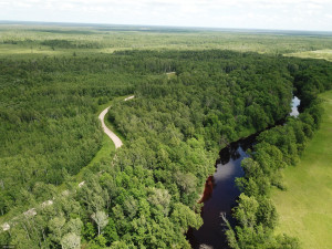 Photo for tbd Cedar Drive SE, Baudette, MN 56623 - Listing #5618955 tbd Cedar Drive SE, Baudette, MN 56623