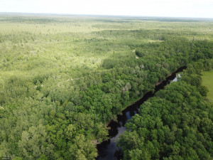 Photo for tbd Cedar Drive SE, Baudette, MN 56623 - Listing #5618955 tbd Cedar Drive SE, Baudette, MN 56623