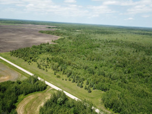 Photo for tbd Cedar Drive SE, Baudette, MN 56623 - Listing #5618955 tbd Cedar Drive SE, Baudette, MN 56623
